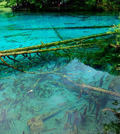 粉象生活能赚到钱吗