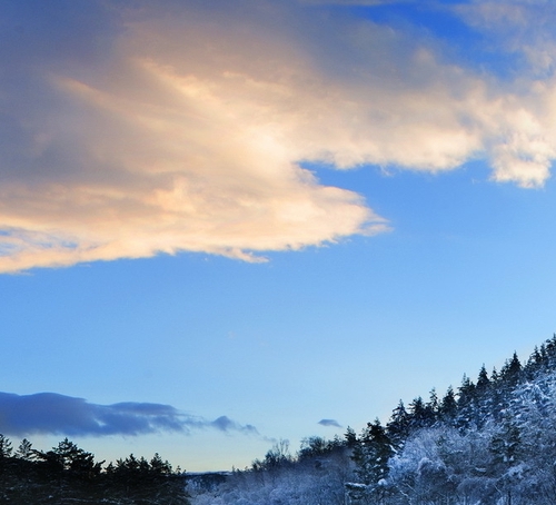 粉象生活怎么赚钱