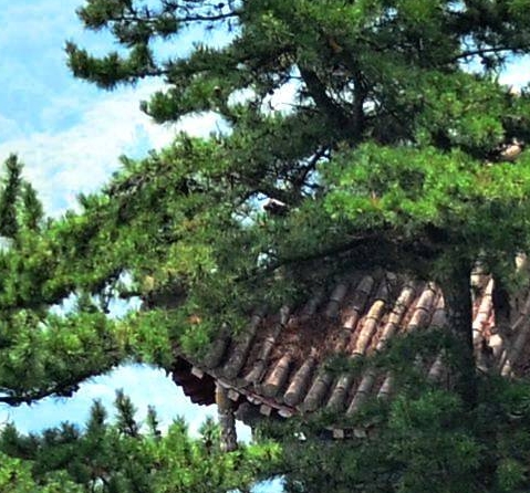 菏泽粉象生活app扫码