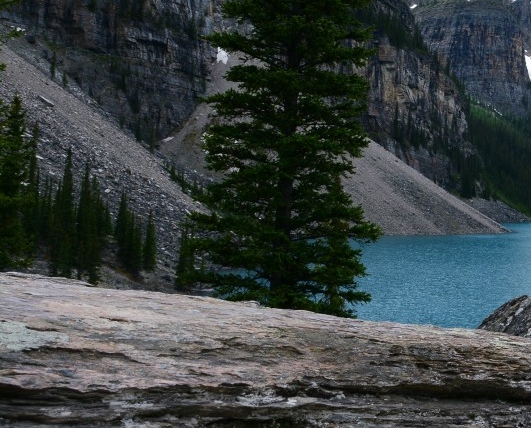 粉象生活如何更换收货地址