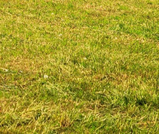 粉象生活合法吗