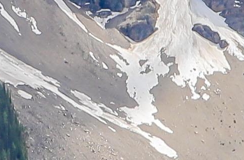 粉象生活等级和佣金