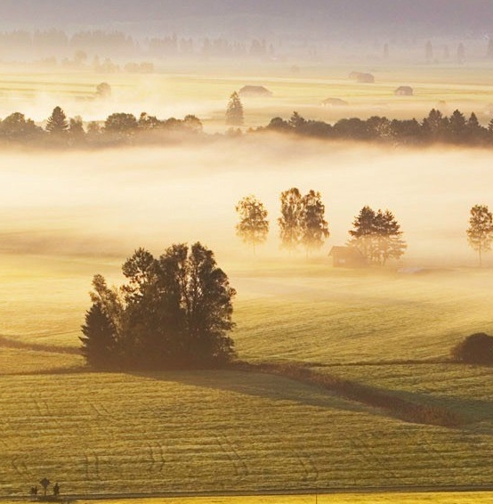 粉象生活赚钱教程