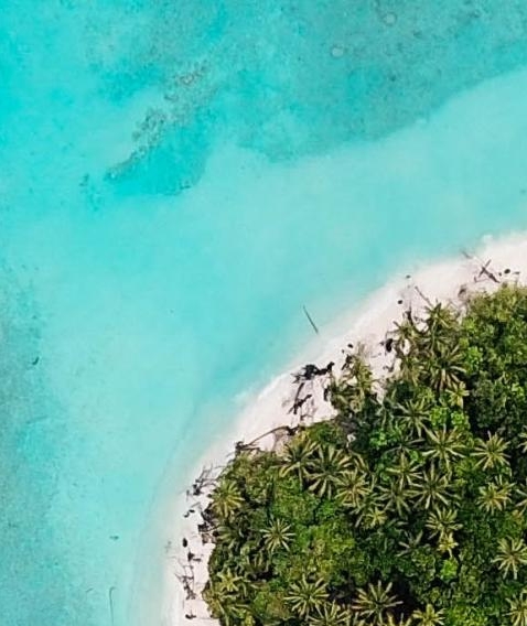 粉象为什么用邀请码