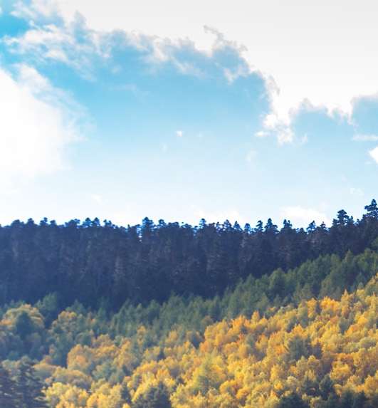 粉象生活宝妈如何挣钱