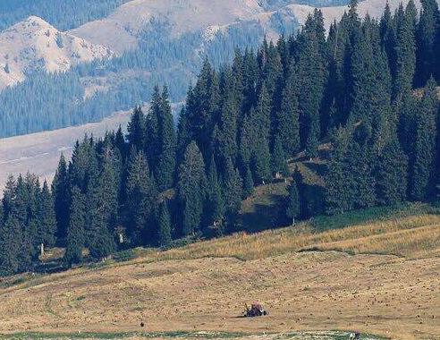 盘锦粉象生活app