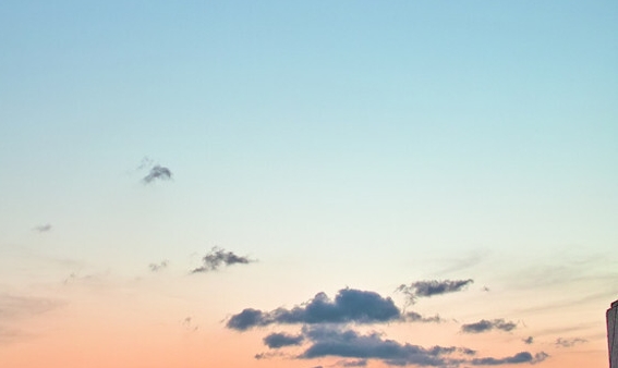 粉象生活下载app