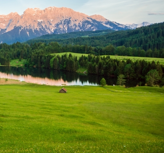 粉象生活下载app