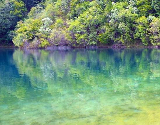 粉象生活邀请一个人有多少佣金