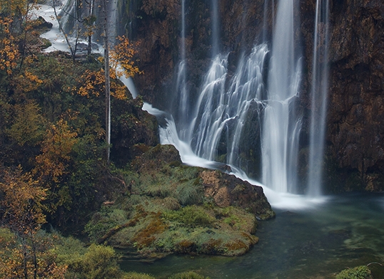 粉象生活能赚钱吗