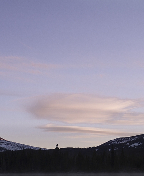 粉象生活是什么?