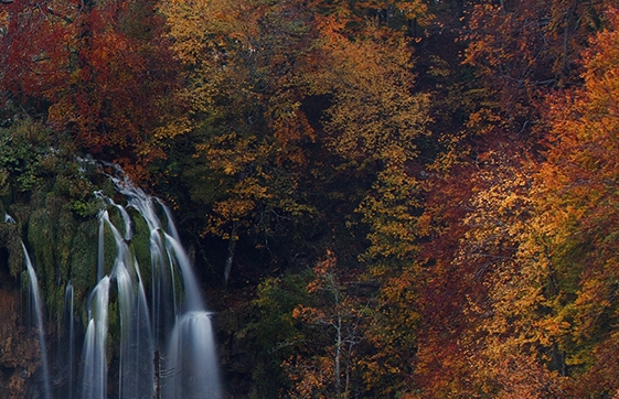 粉象生活模式合法吗