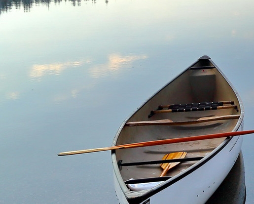 日照粉象生活app