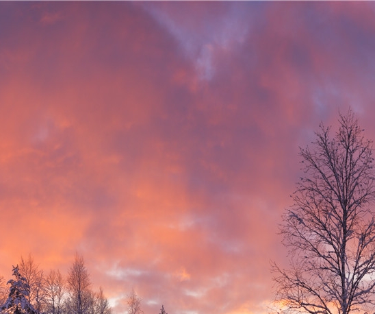 粉象生活粉丝怎么增加