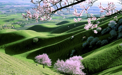 粉象生活官方网站