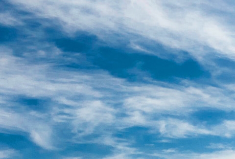 粉象生活能赚钱吗