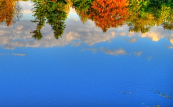 吉林口碑粉象生活