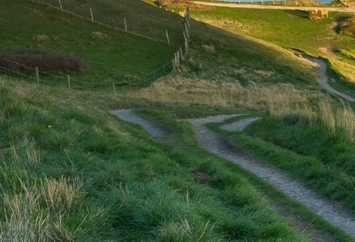粉象生活粉丝怎么增加