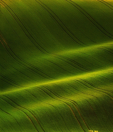 粉象生活赚钱的有哪些