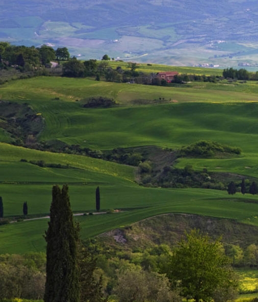 粉象生活399升级会员