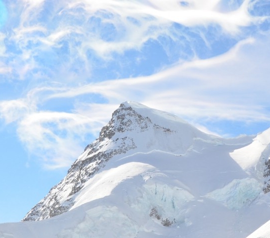 粉象生活邀请码 首选039045