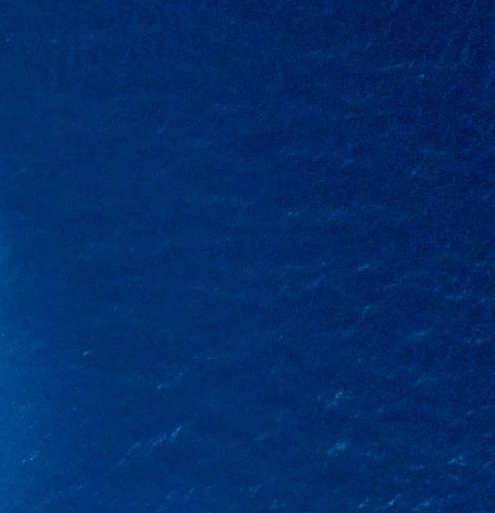 怎样在粉象生活里赚到钱