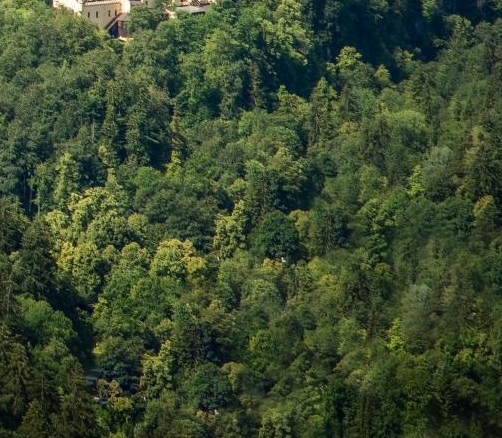 粉象生活怎么在淘宝上购物