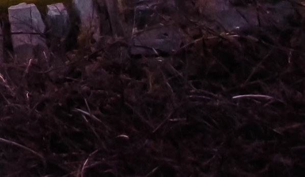 江西创新粉象生活靠谱么