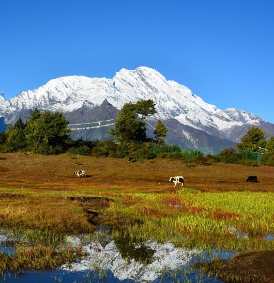 粉象生活怎么赚钱