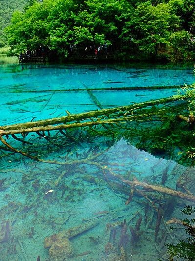 粉象生活邀请码