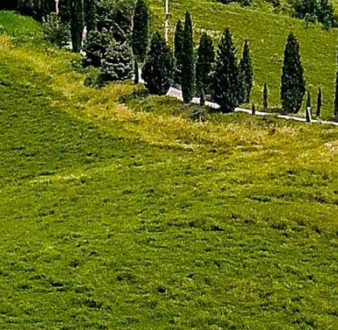 粉象生活邀请码