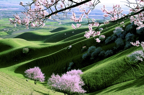 汕尾粉象生活怎么样