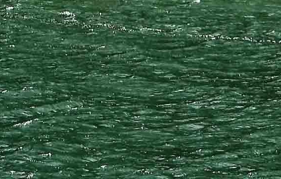 粉象生活怎么赚钱