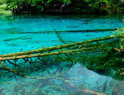 粉象生活下单物流信息