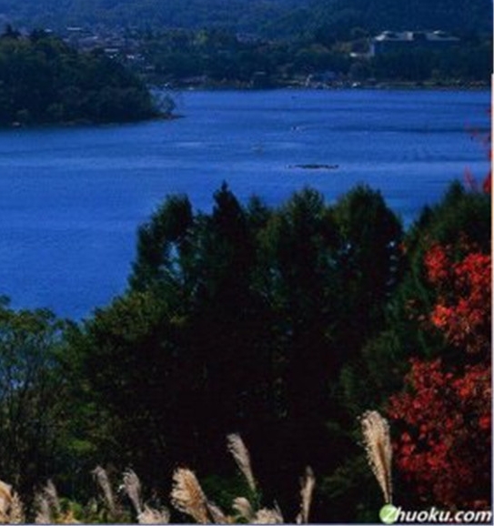 粉象生活官方邀请