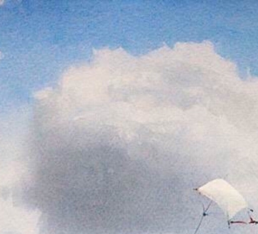 粉象生活合法吗