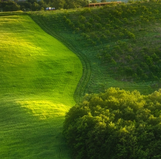 粉象生活工作证图片大全