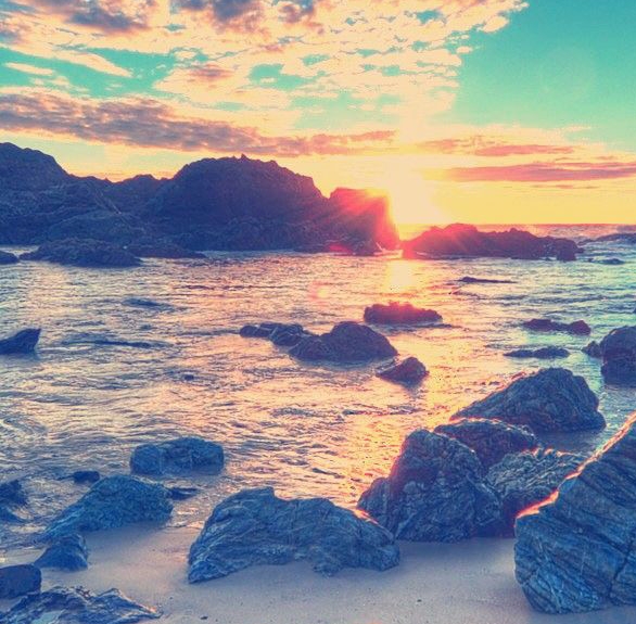 粉象生活怎么引粉