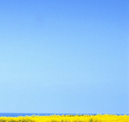 粉象生活淘宝联盟怎么做