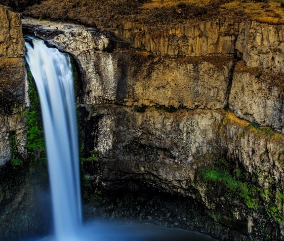 粉象生活明星直播