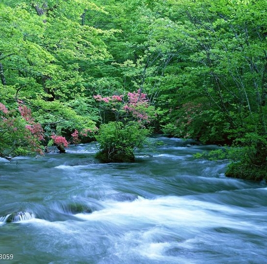 遇到粉象生活的感受