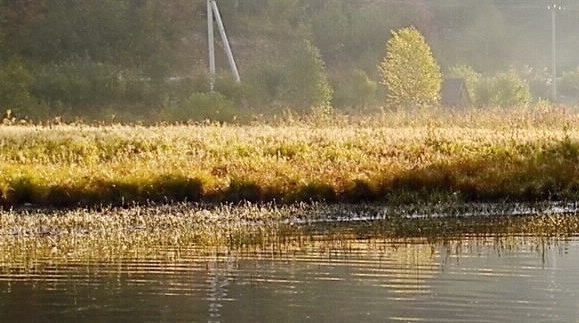 韶关粉象生活可信吗