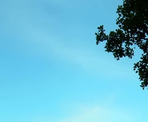 湛江粉象生活软件