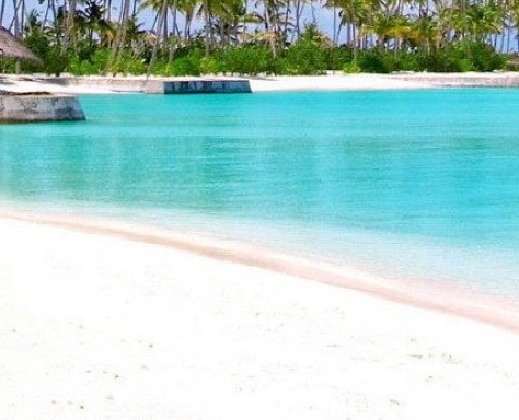 粉象生活是个什么东西