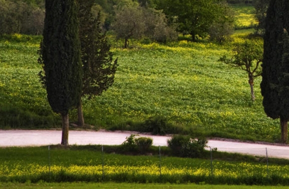 粉象生活app下载安装