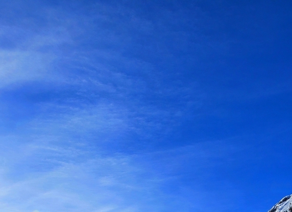 粉象生活添加购物车有佣金拿吗