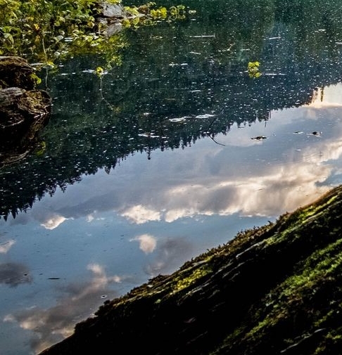 揭阳粉象生活如何使用