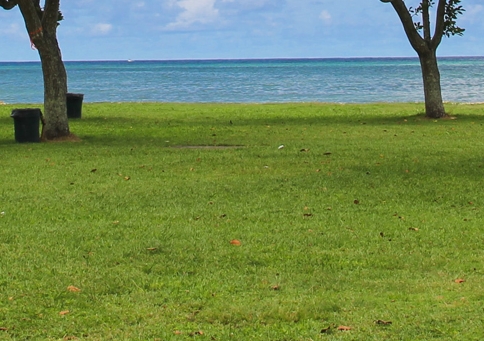 湖南粉象生活邀请人