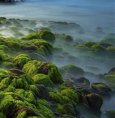 粉象生活中奖是真的吗