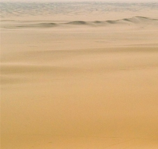 关于粉象生活如何操作赚钱